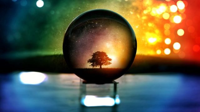 水晶玉に映る大きな木の画像