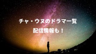 チャ・ウヌのドラマ一覧!配信情報も!