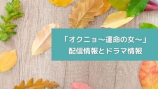 「オクニョ~運命の女~」配信情報とドラマ情報
