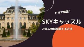 「SKYキャッスル」お試し無料視聴する方法!ドラマ情報!