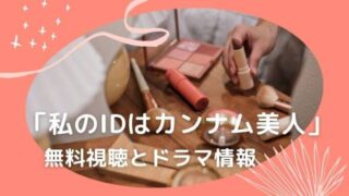 「私のIDはカンナム美人」無料視聴とドラマ情報